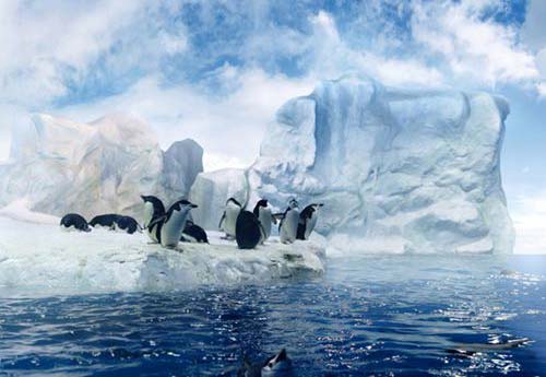 south-pole-travel